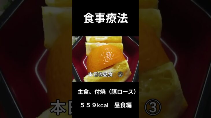 花見弁当、糖尿病の病院食、主食、豚ロース、昼食編
