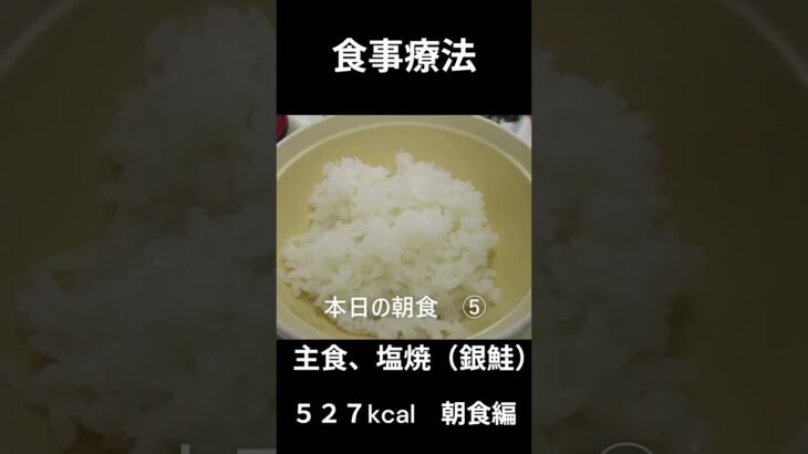 糖尿病の病院食、主食、塩焼（銀鮭）朝食編