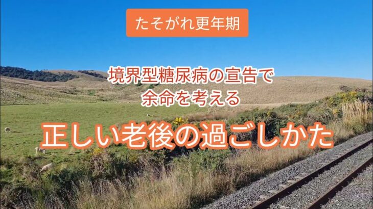 【たそがれ更年期】正しい老後の過ごし方かた #糖尿病 #早期退職 #アラカン