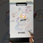 糖尿病是怎么来的？胰岛素是怎么一步步失控的？ #抖出健康知识宝藏 #糖尿病 #胰岛素 #手绘科普 #医学科普