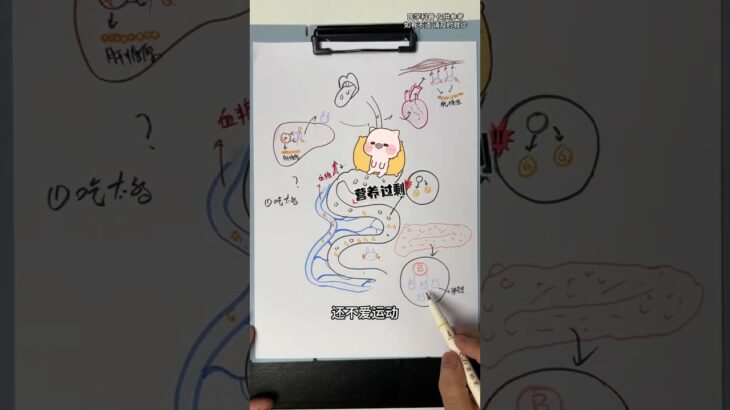 糖尿病是怎么来的？胰岛素是怎么一步步失控的？ #抖出健康知识宝藏 #糖尿病 #胰岛素 #手绘科普 #医学科普
