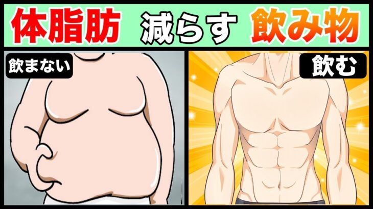 【糖尿病予防】体脂肪減らす飲み物トップ３