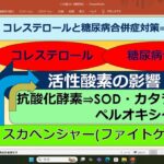 糖尿病合併症とコレステロールの予防は、抗酸化物質を意識的に摂ることで可能となる。薬は必ず副作用がある。この抗酸化物質を摂れば、糖尿病、コレステロール対策となり一挙両得になります。
