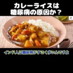 【ホリエモン】カレーライスは糖尿病の原因か？