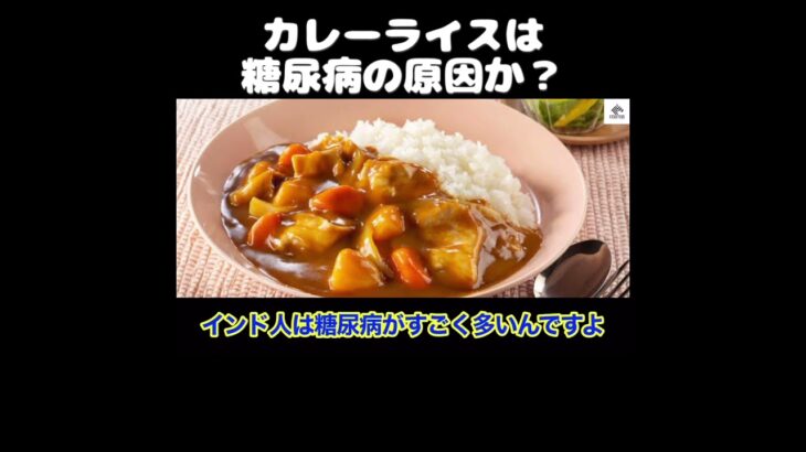 【ホリエモン】カレーライスは糖尿病の原因か？