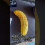 栄養と時短 #食事 #健康 #栄養 #趣味 #朝食 #時短 #血糖値 #1型糖尿病 #勉強 #挑戦 #パフォーマンス #病気 #勉強 #ショート
