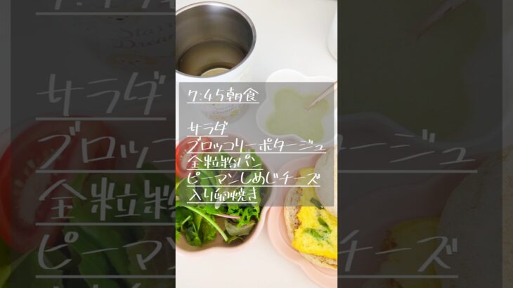【1日の食事】#妊娠糖尿病 #妊娠後期 #食事 #糖尿病 #分割食