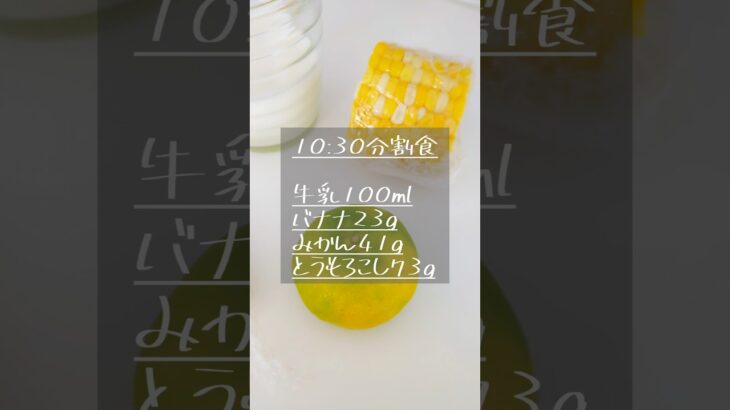 妊娠糖尿病1日の食事 #妊娠後期 #食事記録 #糖質制限 #分割食