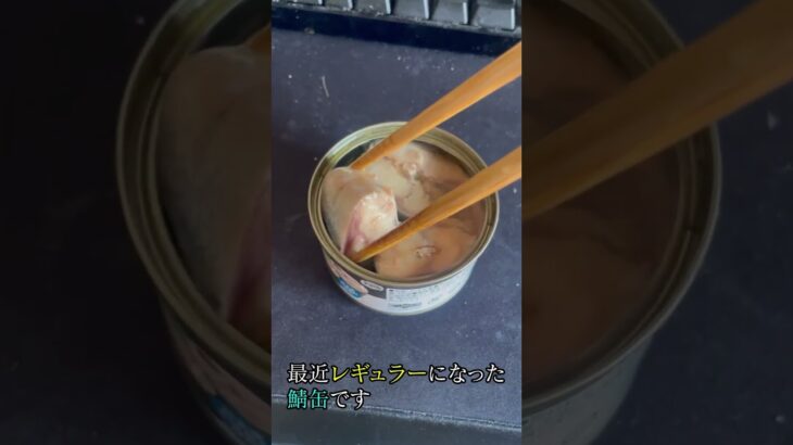 安定メニュー #食事 #健康 #栄養 #趣味 #朝食 #血糖値 #1型糖尿病 #挑戦 #結果 #病気 #パフォーマンス #勉強 #ショート