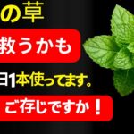 奇跡！たった1枚の葉が、糖尿病・悪玉コレステロール・そしてぽっこりお腹を撃退！