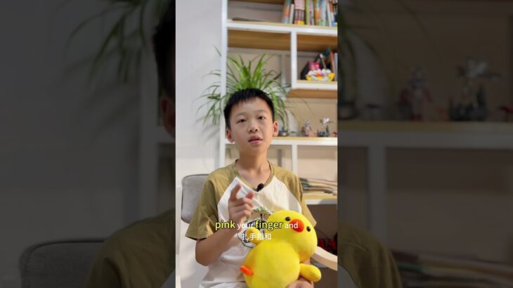 1型糖尿病 type 1 diabetes