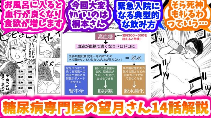糖尿病専門医によるもちづきさん14話解説+αと反応集【ドカ食いダイスキ！ もちづきさん】