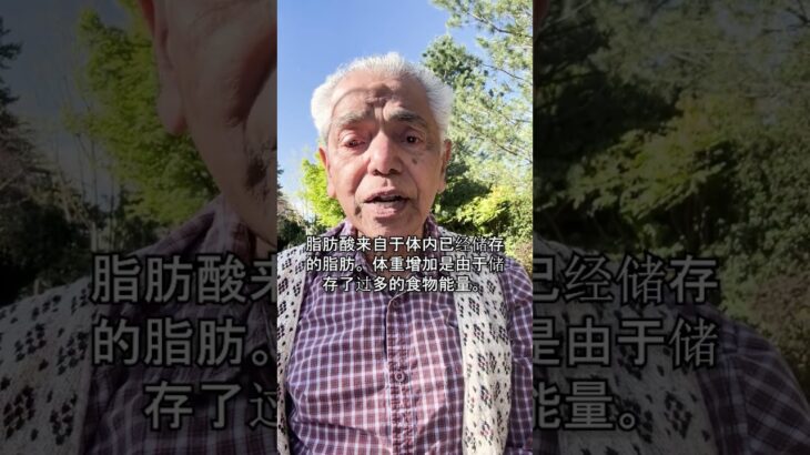 胰岛素抵抗是骗局：2型糖尿病被隐藏的真相 🔥