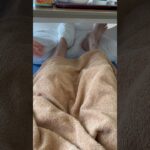 糖尿病足趾切断手術#2型糖尿病#下肢切断#糖尿病