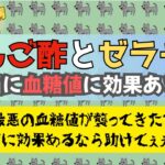 【2型糖尿病】りんご酢とゼラチン混ぜて飲んだら血糖値に効果ある？ない？2型糖尿病の私が検証します！それはそうと血糖値がピンチ！