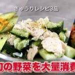 【糖尿病の食事】きゅうりレシピ3品！旬の野菜を大量消費-あっさり食べられるレシピやってみました！