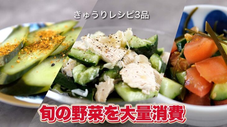 【糖尿病の食事】きゅうりレシピ3品！旬の野菜を大量消費-あっさり食べられるレシピやってみました！