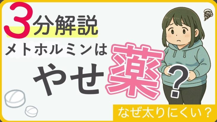 【3分解説】　メトホルミンは痩せるのか？　糖尿病の薬は太る？