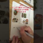 糖尿病予備軍40代食事記録