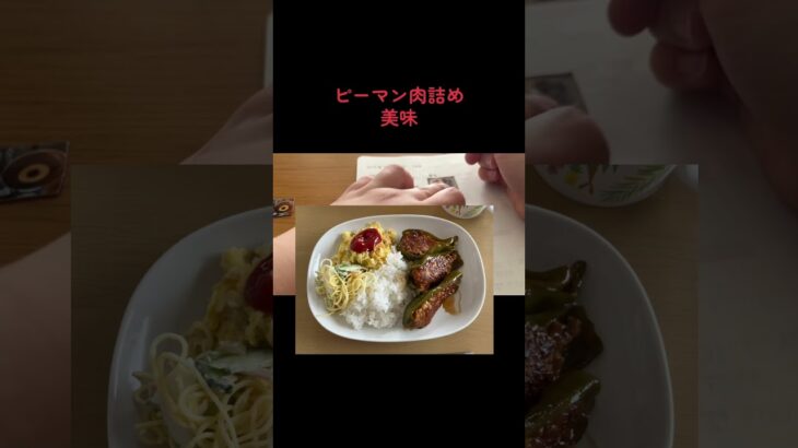 糖尿病予備軍40代食事記録