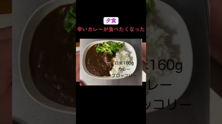 糖尿病予備軍40代食事記録