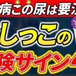 【要注意】知らないと人生終了！糖尿病の尿に出るサイン4選【糖尿病・高齢者・血糖値・HbA1c】