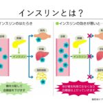 令和7年度 市民対象糖尿病教室 第1回「基礎からわかる糖尿病講座」