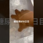 りくろーおじさんとかオムライスとか食べた糖尿病870日目  #糖尿病  #糖尿病の品格  #糖質制限 #4毒抜き #血糖値 #hba1c #オムライス #りくろーおじさん