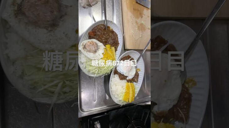 金沢タイプのカレーライス食べた糖尿病872日目食事記録