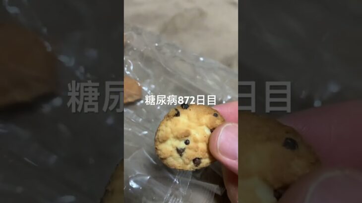 美味しくないはずのクッキー🍪なのに食べちゃう糖尿病872日目