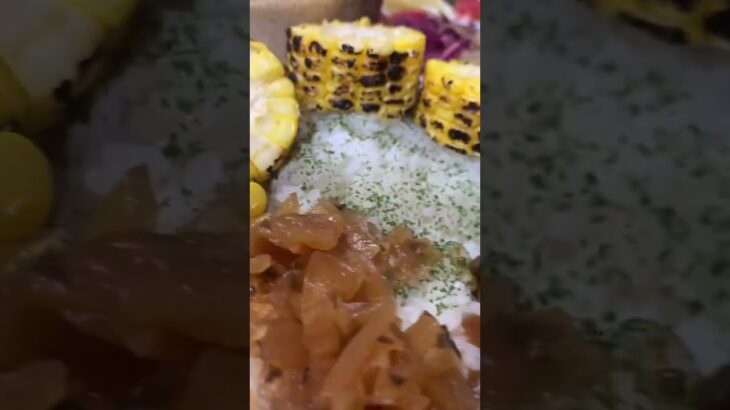 ミネストローネとかカレーとか食べた糖尿病872日目食事記録  #糖尿病の品格 #糖尿病 #心筋梗塞 #血糖値 #hba1c