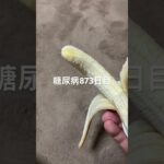 🍌バナナ食べたくま🐻糖尿病873日目食事記録 #糖尿病の品格 #糖尿病 #バナナ