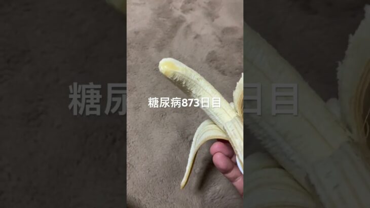 🍌バナナ食べたくま🐻糖尿病873日目食事記録 #糖尿病の品格 #糖尿病 #バナナ