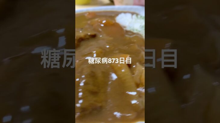 何日目かのカレー食べた糖尿病873日目食事記録 #糖尿病の品格 #糖尿病 #血糖値 #心筋梗塞 #hba1c
