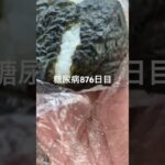 卵焼き入り昆布おにぎりめちゃウマだった糖尿病876日目食事記録  #糖尿病の品格 #糖尿病 #心筋梗塞 #血糖値 #hba1c