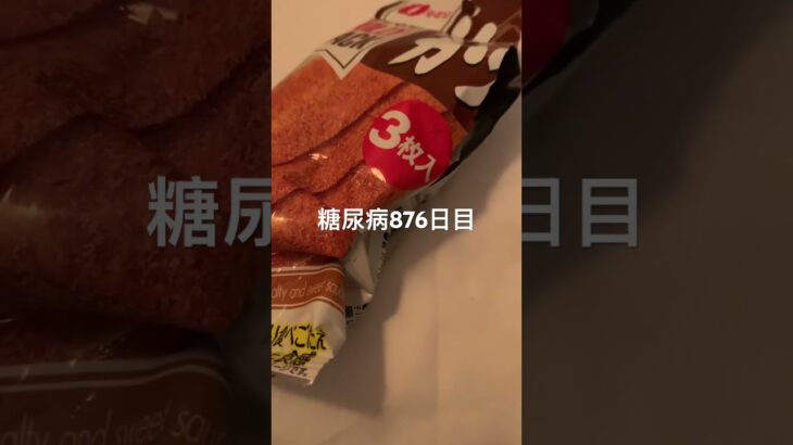 ソースカツうますぎやろがいがいがいがががい糖尿病876日目食事記録  #糖尿病の品格 #糖尿病 #心筋梗塞 #血糖値 #hba1c