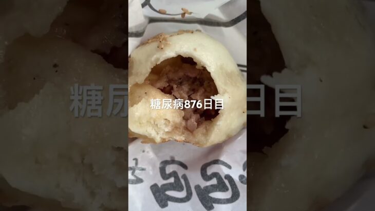 糖質食べたかったら食べる糖尿病876日目食事記録  #糖尿病の品格 #糖尿病 #心筋梗塞 #血糖値 #hba1c