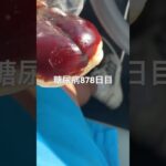 半額乞食したようかんロールパン食べた糖尿病878日目幸せ  #糖尿病の品格 #糖尿病 #心筋梗塞 #血糖値 #hba1c