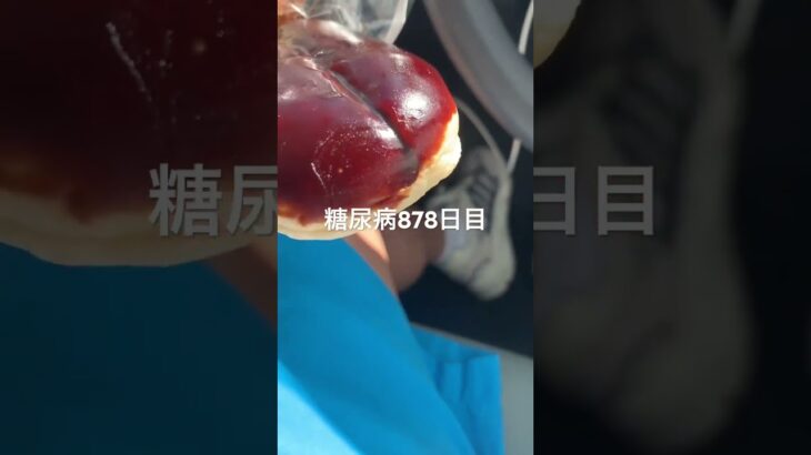 半額乞食したようかんロールパン食べた糖尿病878日目幸せ  #糖尿病の品格 #糖尿病 #心筋梗塞 #血糖値 #hba1c