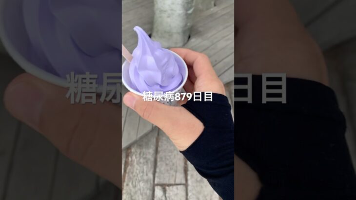 不味いと聞くと食べたくなるラベンダーソフトクリーム食べた糖尿病879日目食事記録  #糖尿病の品格 #糖尿病 #心筋梗塞 #血糖値 #hba1c