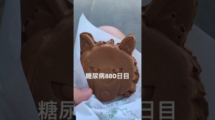 おおかみさんあんこ焼き食べた糖尿病880日目食事記録  #糖尿病の品格 #糖尿病 #心筋梗塞 #血糖値 #hba1c