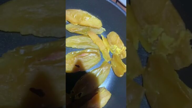 炭酸飲んだりした糖尿病881日目食事記録  #糖尿病の品格 #糖尿病 #心筋梗塞 #血糖値 #hba1c