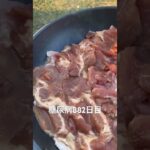 焚き火で米と豚ジンギスカン作った糖尿病882日目食事記録　隣の人にわざとらしく車の近くに油水2回ぶっかけられて辛かった  #糖尿病の品格 #糖尿病 #心筋梗塞 #血糖値 #hba1c