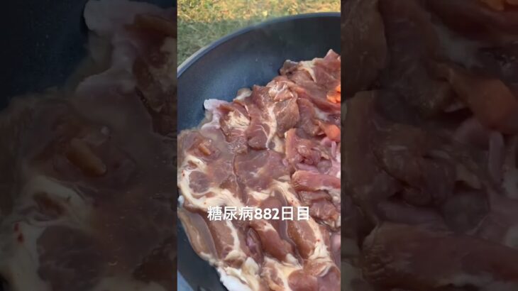 焚き火で米と豚ジンギスカン作った糖尿病882日目食事記録　隣の人にわざとらしく車の近くに油水2回ぶっかけられて辛かった  #糖尿病の品格 #糖尿病 #心筋梗塞 #血糖値 #hba1c