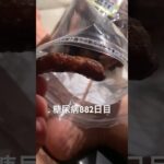 小樽印のかりんとううままままま糖尿病882日目食事記録  #糖尿病の品格 #糖尿病 #心筋梗塞 #血糖値 #hba1c