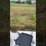キャンプクックにハマった糖尿病882日目食事記録  #糖尿病の品格 #糖尿病 #心筋梗塞 #血糖値 #hba1c