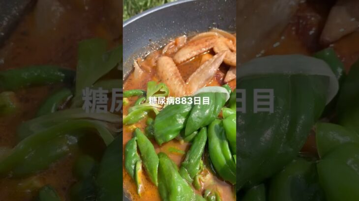 もうスープカレー自分で作っちゃえよの日糖尿病883日目食事記録　キャンパーに通報くらっておこ  #糖尿病の品格 #糖尿病 #心筋梗塞 #血糖値 #hba1c