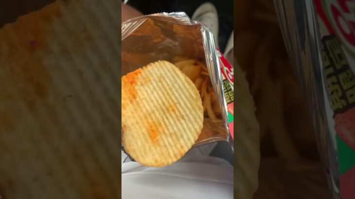 ピザポテト明太マヨ味乞食娯楽した糖尿病886日目食事記録  #糖尿病の品格 #糖尿病 #心筋梗塞 #血糖値 #hba1c