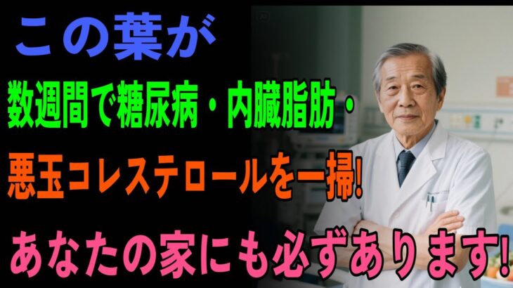 【88歳医師が暴露】糖尿病・悪玉コレステロール・内臓脂肪が激減！たった一枚の「魔法の葉」で数週間以内に改善！60歳以上は必見！