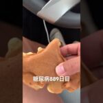 北海道形のカスタードたい焼き食べた糖尿病889日目食事記録  #糖尿病の品格 #糖尿病 #心筋梗塞 #血糖値 #hba1c #たい焼き #北海道